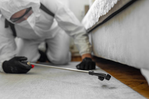 Professional Termite Control technician working in Wiggins, CO